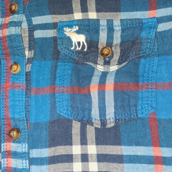 Abercrombie & Fitch Flannel Plaid Shirt Size Small Moose Logo Long Sleeve Blue - Picture 5 of 9